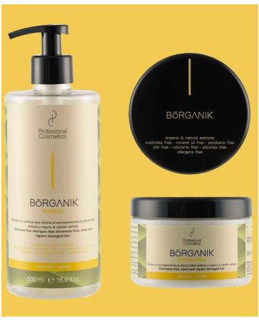 Pachet organic anti-frizz BORGANIK